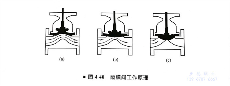 图 48.jpg